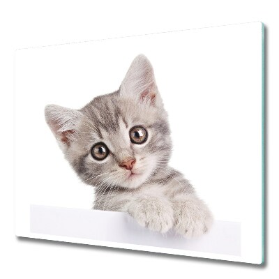 Glasskärbräda Grå katt