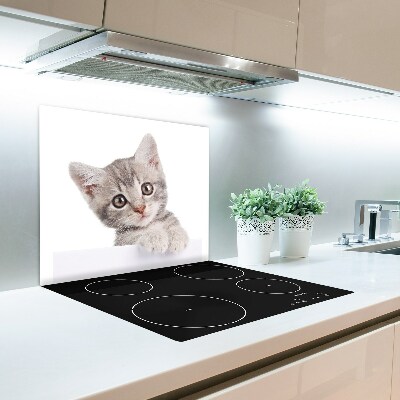 Glasskärbräda Grå katt