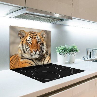 Glasskärbräda bengalisk tiger