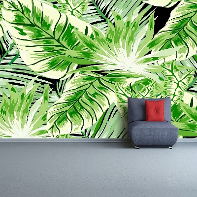 Fototapet Monstera palm