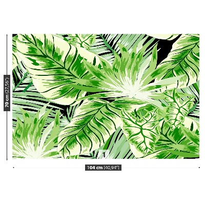 Fototapet Monstera palm