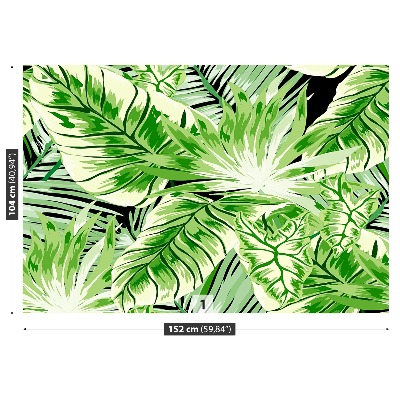 Fototapet Monstera palm