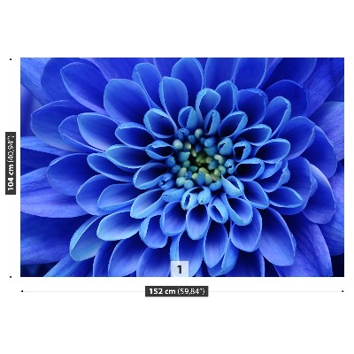 Fototapet Blå blomma