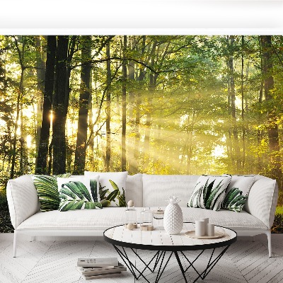 Fototapet Skog på hösten