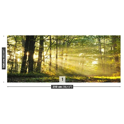 Fototapet Skog på hösten