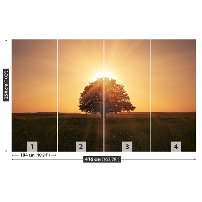 Fototapet Soluppgångsträd