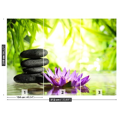 Fondtapet Lotus och Zen sten