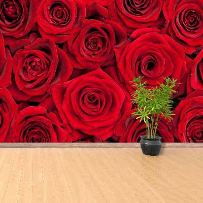 Fondtapet röda rosor
