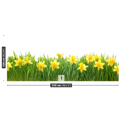 Fondtapet Vit narcissus