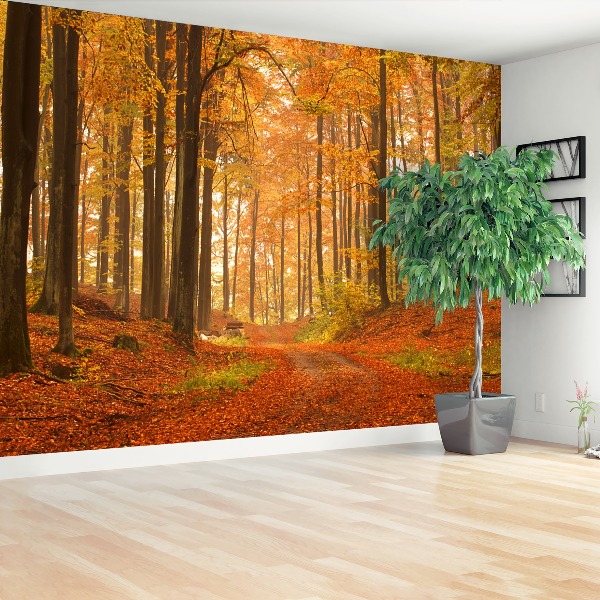 Fototapet Skog på hösten