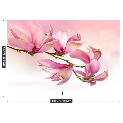 Fototapet Magnolia