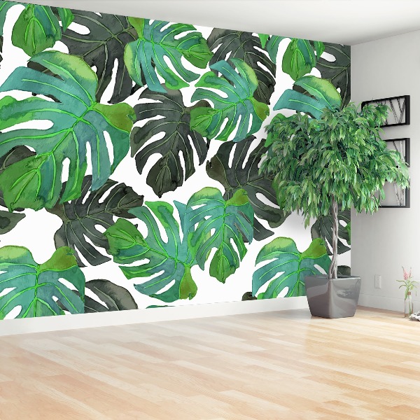 Fototapet Monstera lämnar