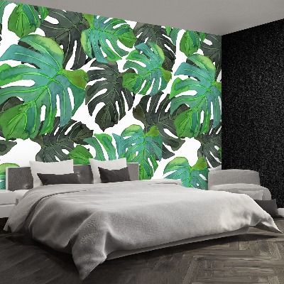 Fototapet Monstera lämnar