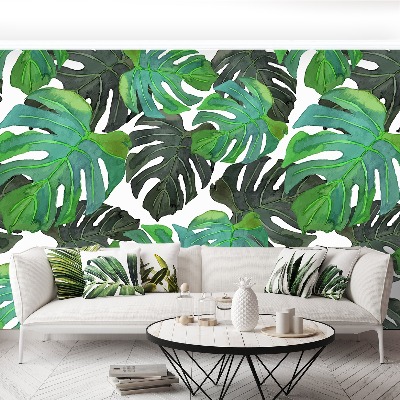 Fototapet Monstera lämnar