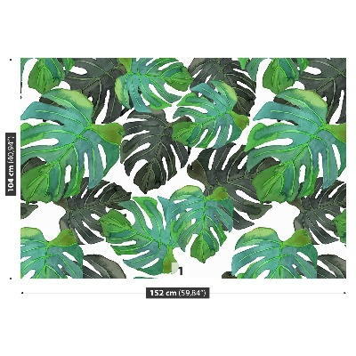 Fototapet Monstera lämnar