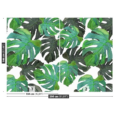 Fototapet Monstera lämnar