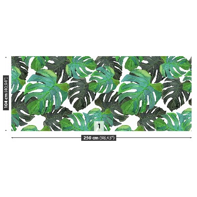 Fototapet Monstera lämnar