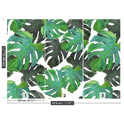 Fototapet Monstera lämnar