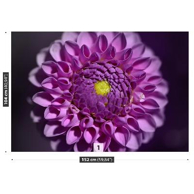 Fototapet Dahlia Rosa