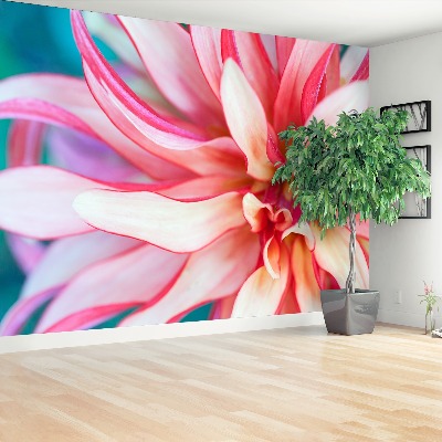 Fondtapet Exotisk blomma
