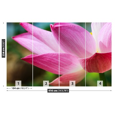 Fototapet Rosa Lotus