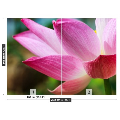 Fototapet Rosa Lotus