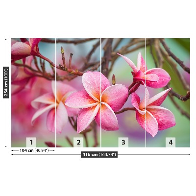 Fototapet Rosa Frangipani