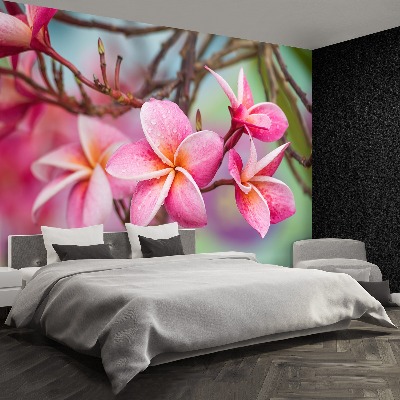 Fototapet Rosa Frangipani