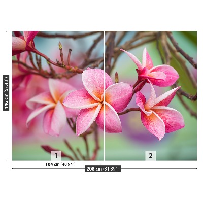 Fototapet Rosa Frangipani