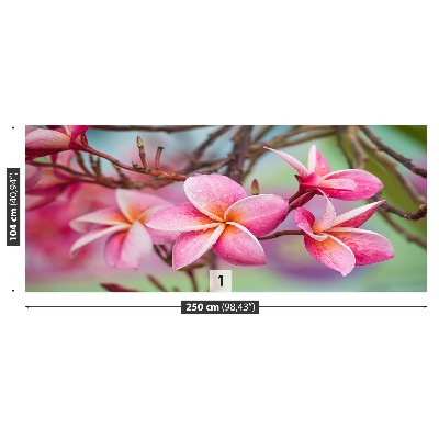 Fototapet Rosa Frangipani