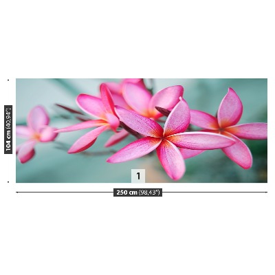 Fondtapet Plumeria rosa