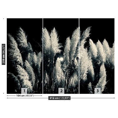 Fototapet Reed Black