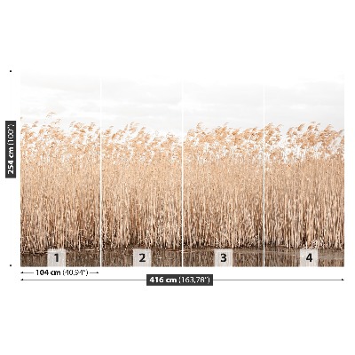 Fondtapet Dammen Reed
