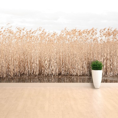Fondtapet Dammen Reed