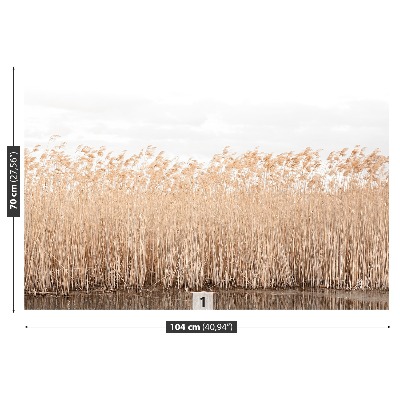 Fondtapet Dammen Reed