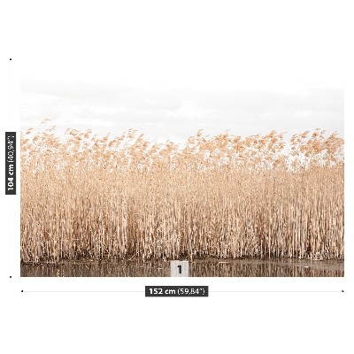 Fondtapet Dammen Reed