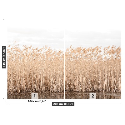 Fondtapet Dammen Reed