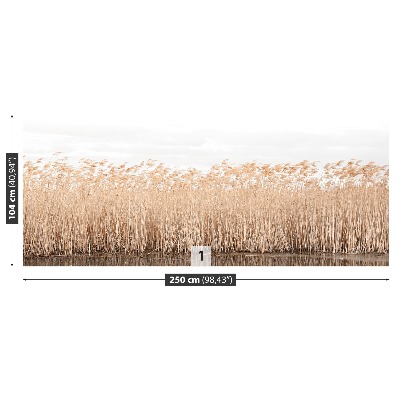 Fondtapet Dammen Reed