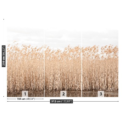 Fondtapet Dammen Reed