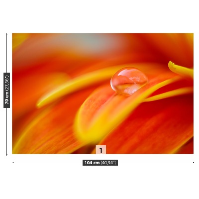 Fototapet En droppe vatten