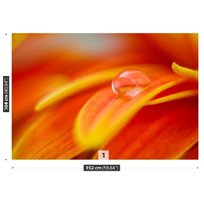 Fototapet En droppe vatten