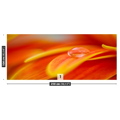 Fototapet En droppe vatten