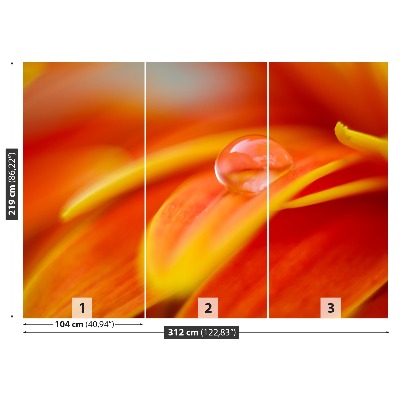Fototapet En droppe vatten