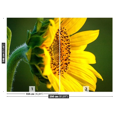 Fototapet solros