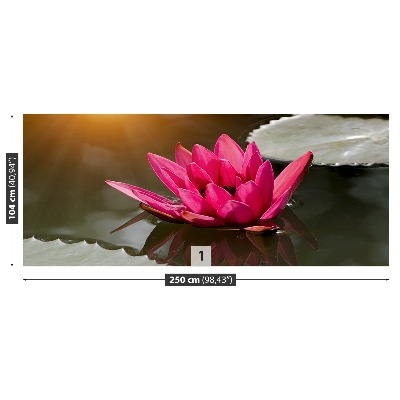Fondtapet Näckros Rosa