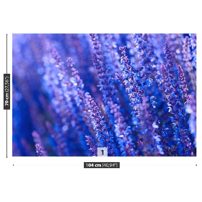 Fototapet Lavendel blommor