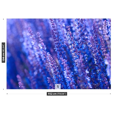 Fototapet Lavendel blommor