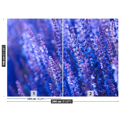 Fototapet Lavendel blommor