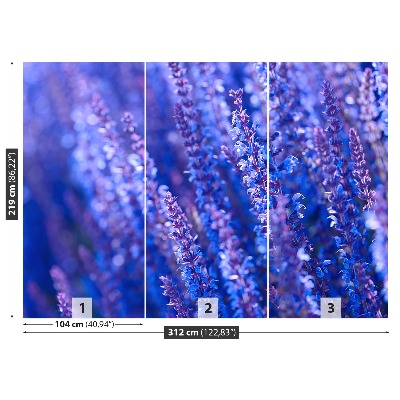 Fototapet Lavendel blommor