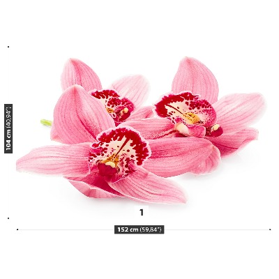 Fondtapet Rosa orkidé